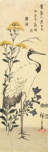 (Patrinia, campanule chinoise et une grue), mars 1853