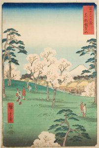 Colline Asuka dans la capitale orientale (Toto Asukayama), de la série "Trente-six vues du mont Fuji (Fuji sanjurokkei)"