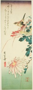 Oiseau et chrysanthèmes