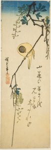 Oiseau sur Glycine Soyeuse - Utagawa Hiroshige
