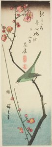 Fauvette sur une branche de prunier - Utagawa Hiroshige