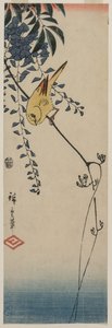 Canari et glycine - Utagawa Hiroshige