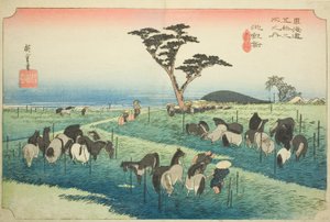 Chiryu : Marché aux chevaux de début d