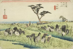 Chiryu: Marché aux chevaux de début d