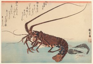 Écrevisse et deux crevettes, de la série Great Fish, 1840