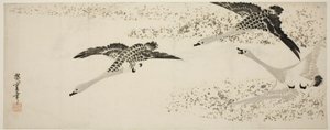 Oies descendantes - Utagawa Hiroshige
