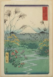 Champ à O_tsuki dans la province de Kai, avril 1858