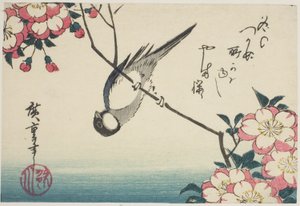 Mésange charbonnière sur une branche de cerisier - Utagawa Hiroshige