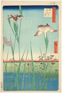 Iris à Horikiri (Horikiri no hanashobu), de la série "Cent vues célèbres d