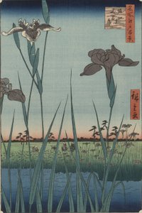 Iris de Horikiri, de la série Cent vues célèbres d