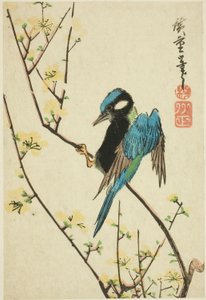 Moineau de Java sur une branche de cerisier - Utagawa Hiroshige