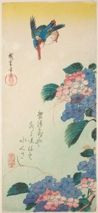 Martin-pêcheur et hortensia - Utagawa Hiroshige