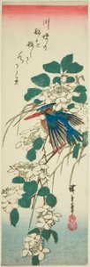 Martin-pêcheur et viorne - Utagawa Hiroshige