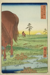 Plaine de Kogane dans la province de Shimosa (Shimosa Koganehara), de la série "Trente-six vues du mont Fuji (Fuji sanjurokkei)" - Utagawa Hiroshige
