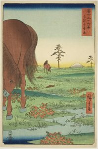 Plaine de Kogane dans la province de Shimosa (Shimosa Koganehara), de la série "Trente-six vues du mont Fuji (Fuji sanjurokkei)" - Utagawa Hiroshige