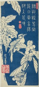 Néflier et oiseau