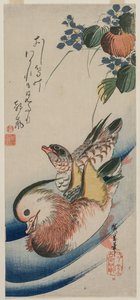 Canards mandarins et plantes à fleurs - Utagawa Hiroshige