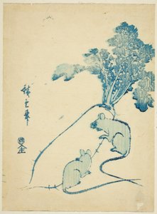 Souris et radis