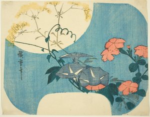 Gloires du matin, œillets et fleur de jeune fille, de la série "Sept fleurs d