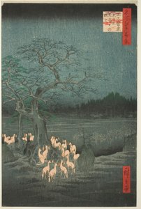 Feux de renard de la veille du Nouvel An à l