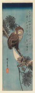 Hibou sur une branche de pin, c.1833 - Utagawa Hiroshige