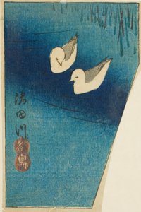 Huîtriers sur la rivière Sumida, section d