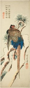 Faisan sur un pin enneigé - Utagawa Hiroshige