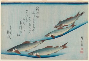 École de cinq truites de la série Poissons, vers 1835 - Utagawa Hiroshige