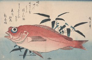 Dorade et herbe de bambou, 1840