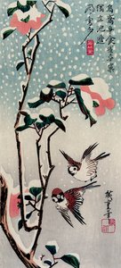 Moineaux et camélias dans la neige