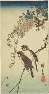 Moineaux et glycine - Utagawa Hiroshige