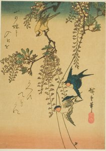 Hirondelle, oiseau jaune et glycine - Utagawa Hiroshige