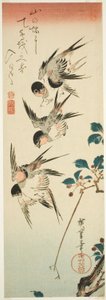 Hirondelles et fleurs de cerisier - Utagawa Hiroshige