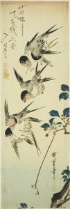 Hirondelles et branche fleurie - Utagawa Hiroshige