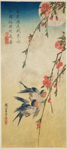 Hirondelles, fleurs de pêcher et pleine lune