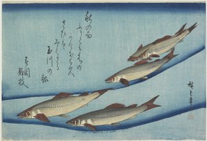 Poisson doux, 1832-1833