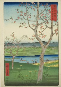 Les environs de Koshigaya dans la province de Musashi (Musashi Koshigaya zai), de la série "Trente-six vues du mont Fuji (Fuji sanjurokkei)"