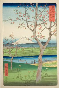 Les Environs de Koshigaya dans la Province de Musashi, de la série "Trente-six Vues du Mont Fuji"