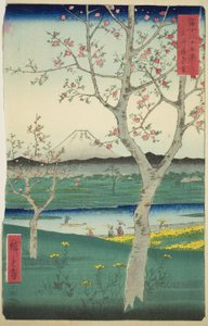 Les environs de Koshigaya dans la province de Musashi, de la série "Trente-six vues du mont Fuji"