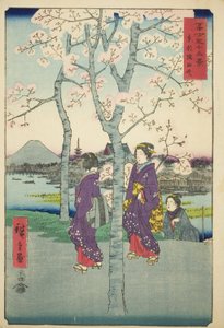 La Digue de Sumida dans la Capitale de l