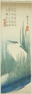 Héron blanc et pinceaux