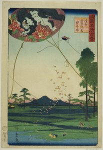 Cerfs-volants de Fukuroi et vue lointaine d