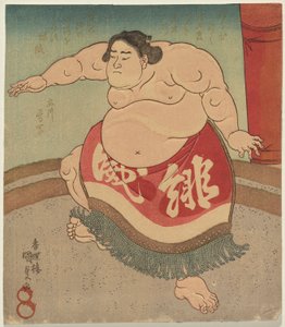Le lutteur de sumo Hiodoshi Rikiya II