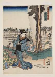 Vue de Hamamatsu