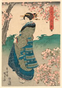 Femme regardant les Fleurs de Cerisier sur la Rive de la Rivière Sumida (Sumidagawa hana no kei)
