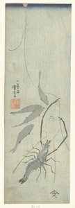 Langoustine et petits poissons - Utagawa Kuniyoshi