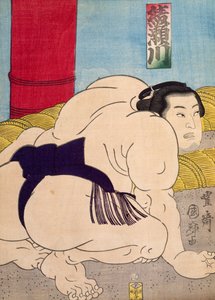 Sumo