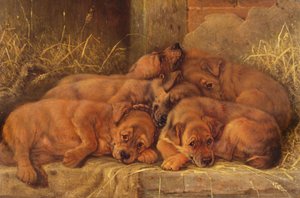 Amour de chiot - Valentine Thomas Garland
