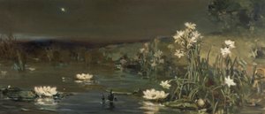 Étoile dans la nuit