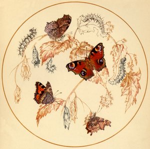Paon, petite tortue et papillons virgule, vers 1930, 1945 - Vere Temple